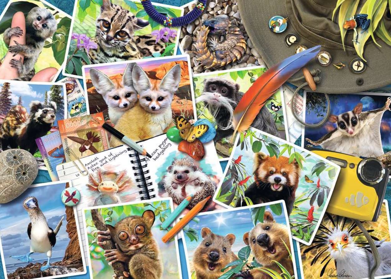 Ravensburger Tiger in Paradise Lagune Puzzle de 3000 pièces pour adultes – La technologie Softclick signifie que les pièces s'emboîtent parfaitement