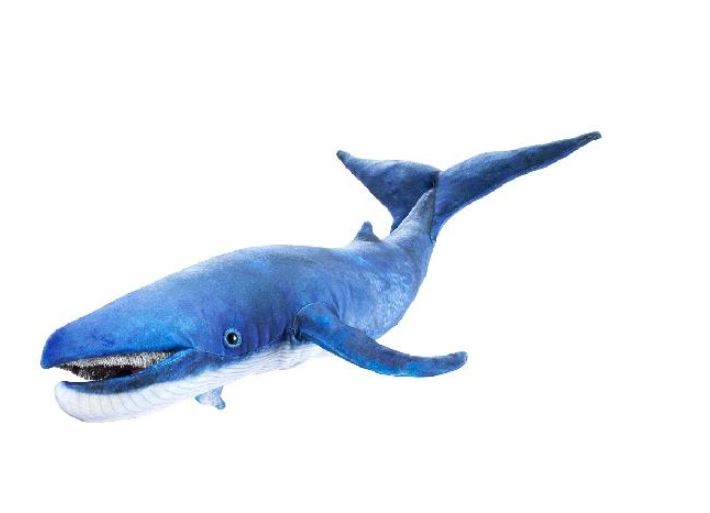 Peluche baleine bleue