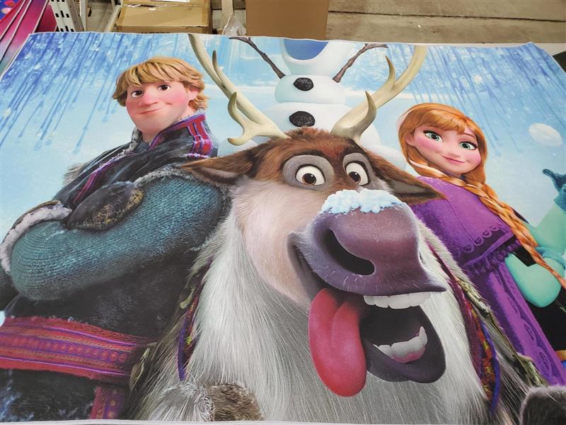 TAPIS DE CHAMBRE - SALLE DE JEUX - REINE DES NEIGES - ANNA ELSA ET KRISTOFF  (FROZEN) ASST - CHAMBRE D'ENFANTS / Tapis