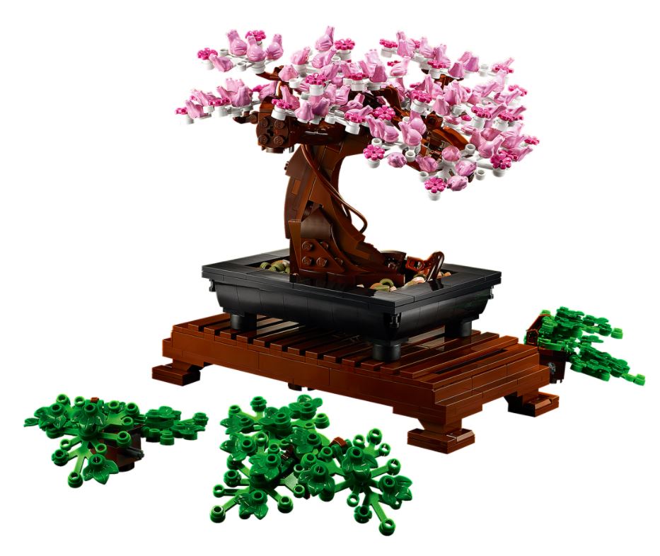 LEGO Icons Les fleurs séchées, 10314, âges 18+