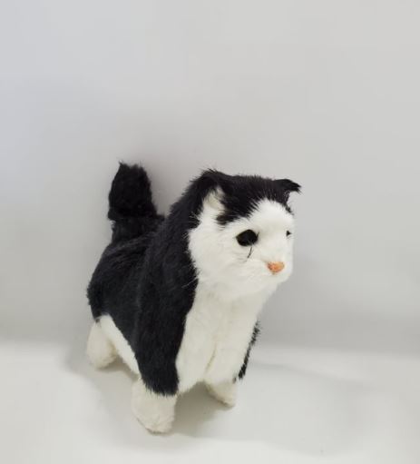 Chat Qui Miaule Asst Peluches Peluches Interactives