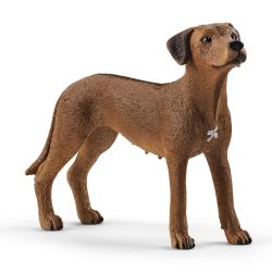 SCHLEICH - CHIEN RHODESIAN RIDGEBACK #13895