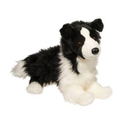 CHASE BORDER COLLEY NOIR/BLANC  DOUGLAS (16