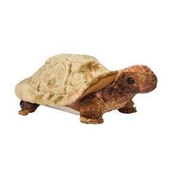 PELUCHE - SPEEDY LA TORTUE (11