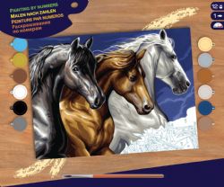 PEINTURE À NUMÉROS SÉNIOR - CHEVAUX SAUVAGES (MOYENNE)