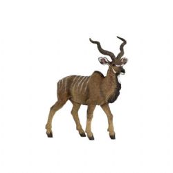 ANTILOPE KOUDOU
