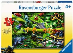RAVENSBURGER CASSE-TÊTE 35 PIÈCES - D'ÉTONNANTS AMPHIBIENS #5174