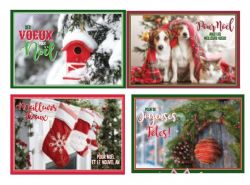 NOËL - CARTES DE NOËL EN FRANÇAIS ASST