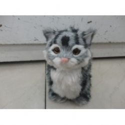 Chat Qui Miaule Divers Animaux Chat Qui Miaule Divers Animaux